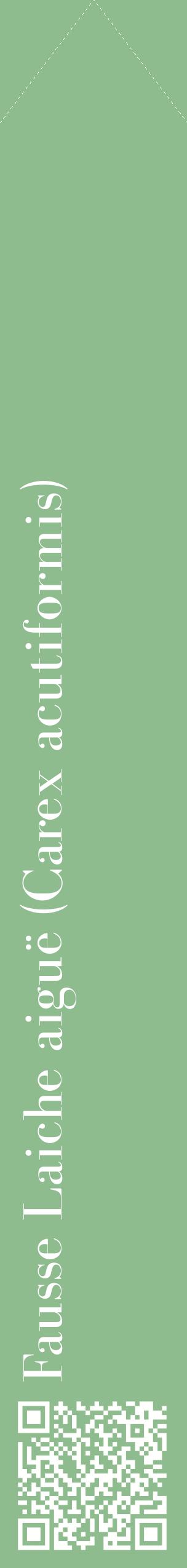 Étiquette de : Carex acutiformis - format c - style blanche13_simplebod avec qrcode et comestibilité