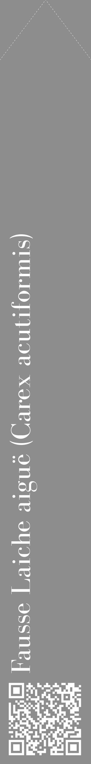 Étiquette de : Carex acutiformis - format c - style blanche2_simple_simplebod avec qrcode et comestibilité - position verticale