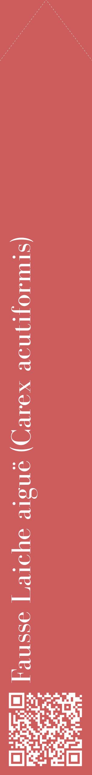 Étiquette de : Carex acutiformis - format c - style blanche35_simplebod avec qrcode et comestibilité