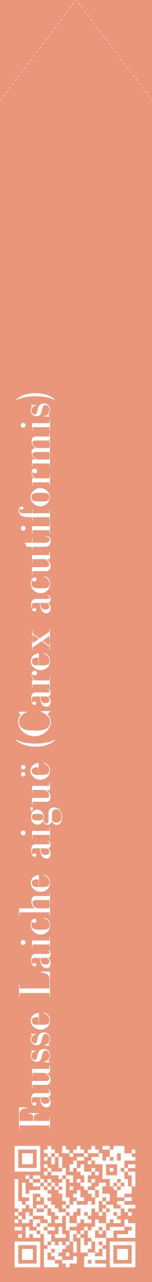 Étiquette de : Carex acutiformis - format c - style blanche37_simplebod avec qrcode et comestibilité