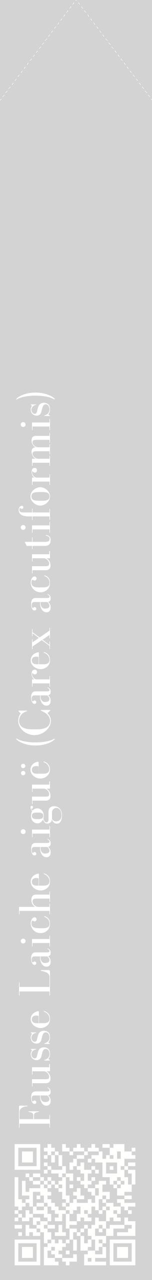 Étiquette de : Carex acutiformis - format c - style blanche56_simplebod avec qrcode et comestibilité