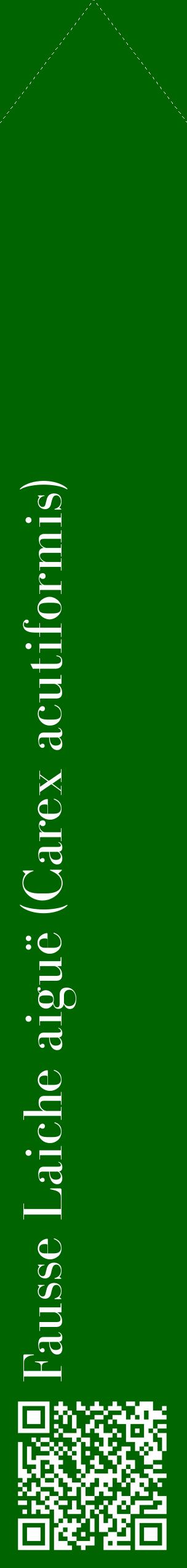 Étiquette de : Carex acutiformis - format c - style blanche8_simplebod avec qrcode et comestibilité