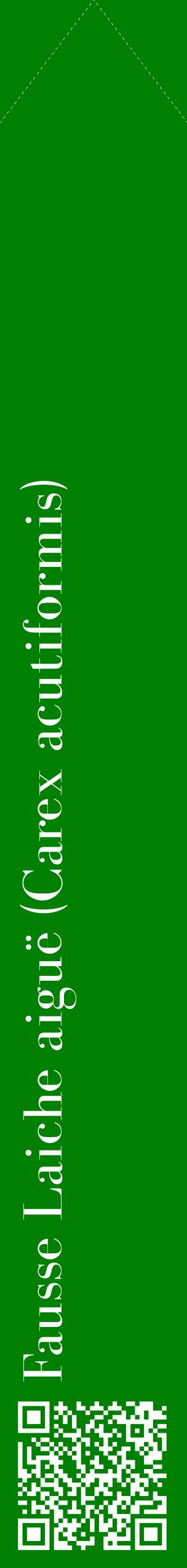 Étiquette de : Carex acutiformis - format c - style blanche9_simplebod avec qrcode et comestibilité