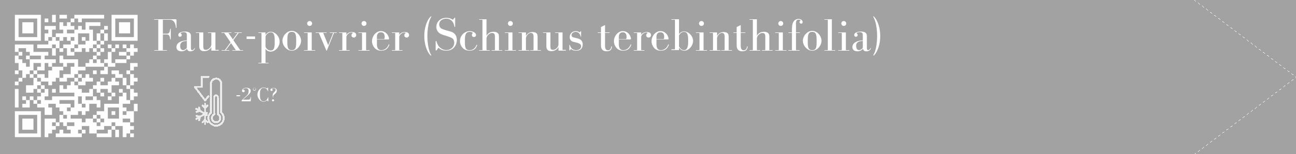 Étiquette de : Schinus terebinthifolia - format c - style blanche38_simple_simplebod avec qrcode et comestibilité