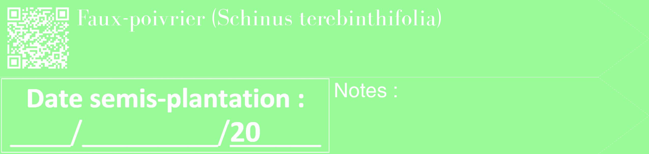 Étiquette de : Schinus terebinthifolia - format c - style blanche14_simple_simplebod avec qrcode et comestibilité