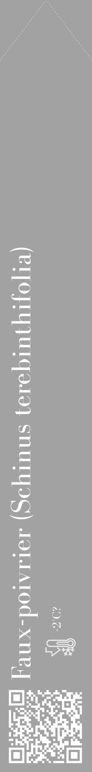 Étiquette de : Schinus terebinthifolia - format c - style blanche38_simple_simplebod avec qrcode et comestibilité - position verticale