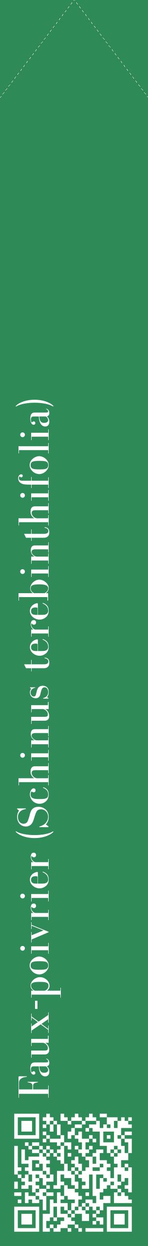 Étiquette de : Schinus terebinthifolia - format c - style blanche11_simplebod avec qrcode et comestibilité