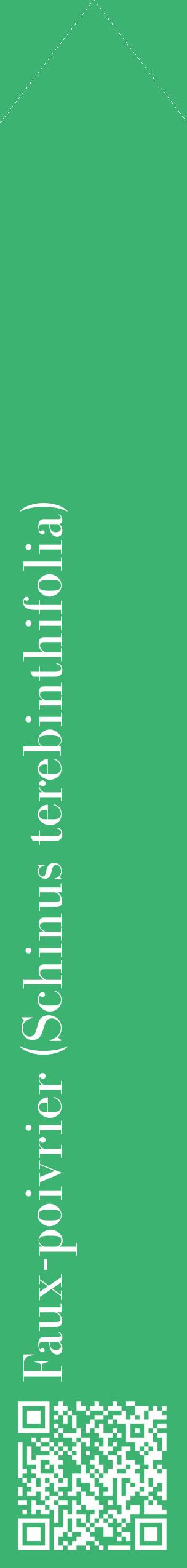 Étiquette de : Schinus terebinthifolia - format c - style blanche12_simple_simplebod avec qrcode et comestibilité - position verticale