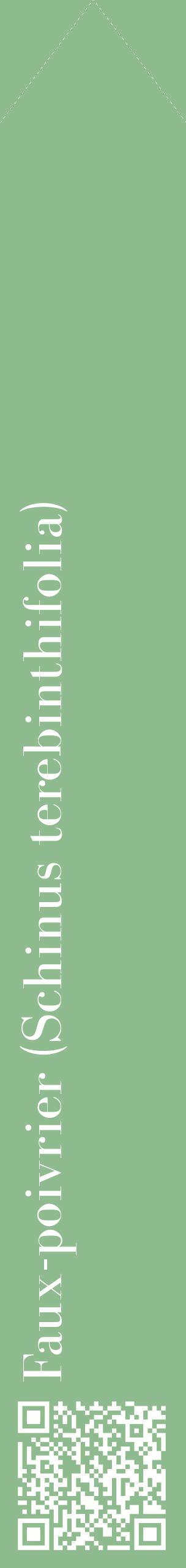 Étiquette de : Schinus terebinthifolia - format c - style blanche13_simplebod avec qrcode et comestibilité