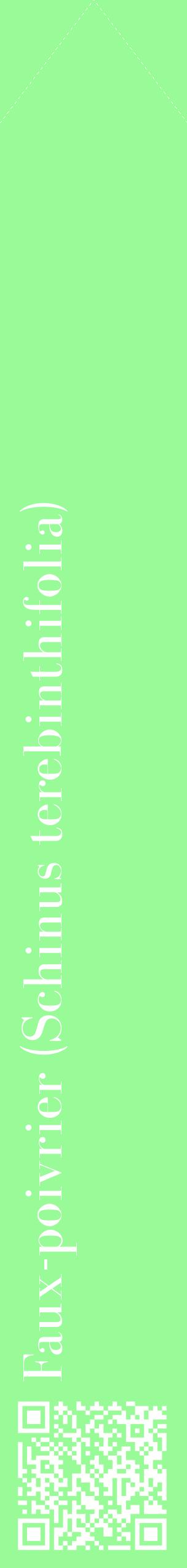 Étiquette de : Schinus terebinthifolia - format c - style blanche14_simplebod avec qrcode et comestibilité