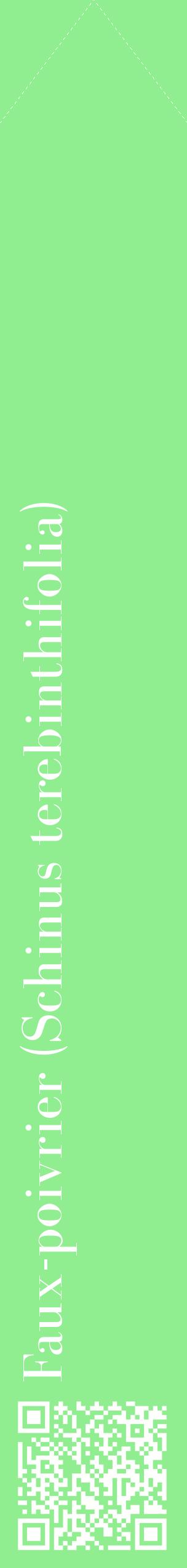 Étiquette de : Schinus terebinthifolia - format c - style blanche15_simplebod avec qrcode et comestibilité