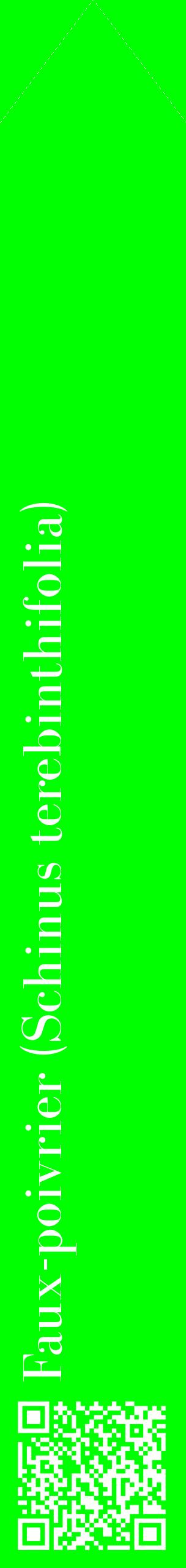 Étiquette de : Schinus terebinthifolia - format c - style blanche16_simplebod avec qrcode et comestibilité