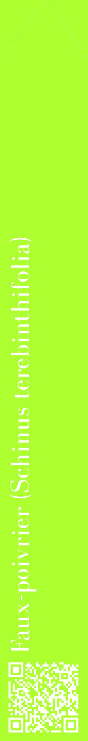 Étiquette de : Schinus terebinthifolia - format c - style blanche17_simplebod avec qrcode et comestibilité