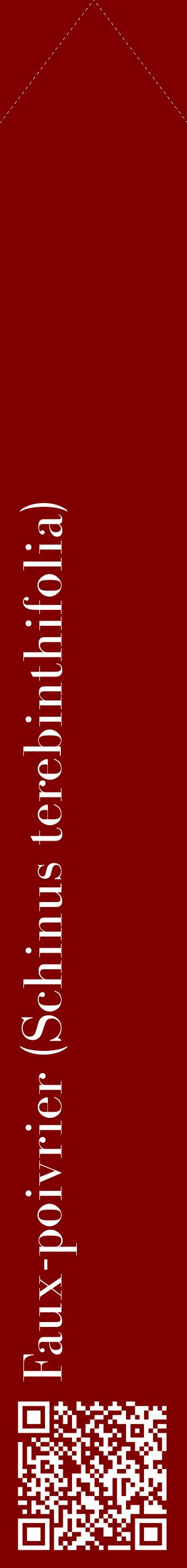 Étiquette de : Schinus terebinthifolia - format c - style blanche29_simplebod avec qrcode et comestibilité