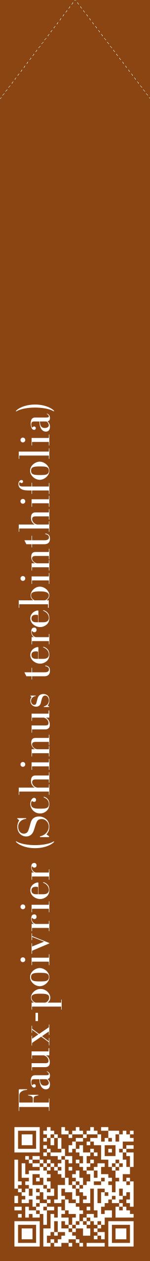Étiquette de : Schinus terebinthifolia - format c - style blanche30_simplebod avec qrcode et comestibilité