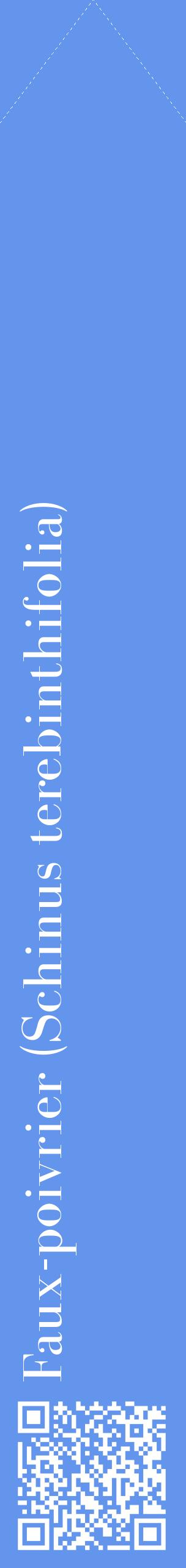 Étiquette de : Schinus terebinthifolia - format c - style blanche4_simplebod avec qrcode et comestibilité