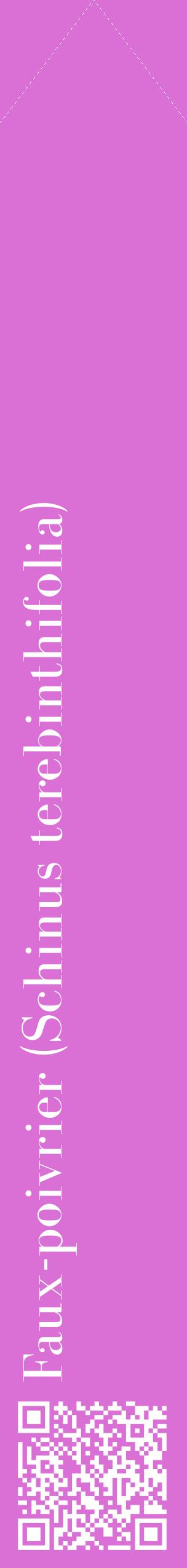 Étiquette de : Schinus terebinthifolia - format c - style blanche52_simplebod avec qrcode et comestibilité