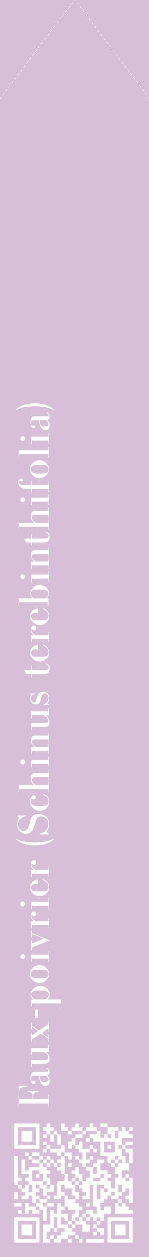 Étiquette de : Schinus terebinthifolia - format c - style blanche54_simplebod avec qrcode et comestibilité