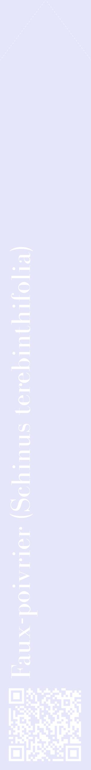 Étiquette de : Schinus terebinthifolia - format c - style blanche55_simplebod avec qrcode et comestibilité