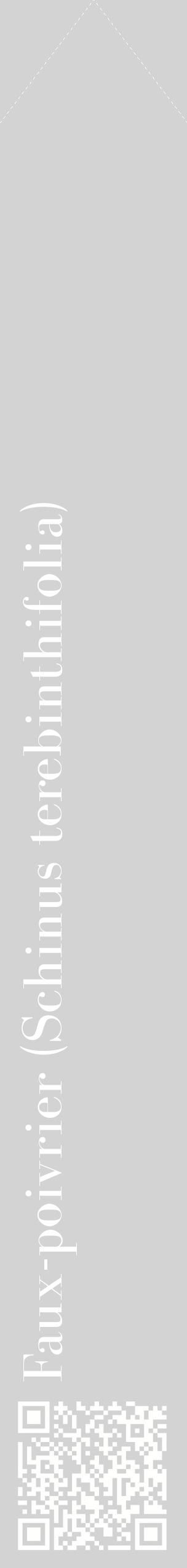 Étiquette de : Schinus terebinthifolia - format c - style blanche56_simplebod avec qrcode et comestibilité