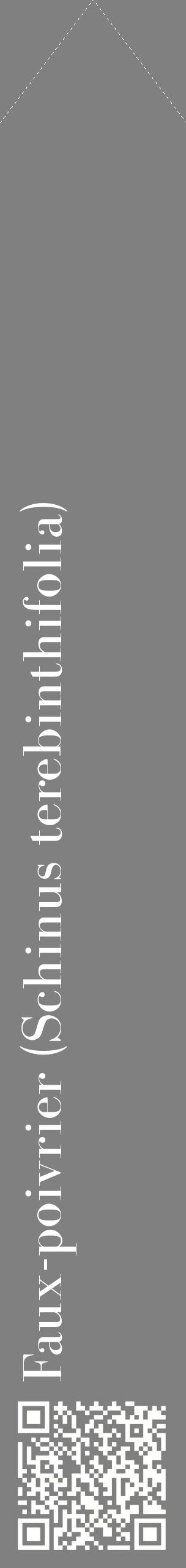 Étiquette de : Schinus terebinthifolia - format c - style blanche57_simplebod avec qrcode et comestibilité