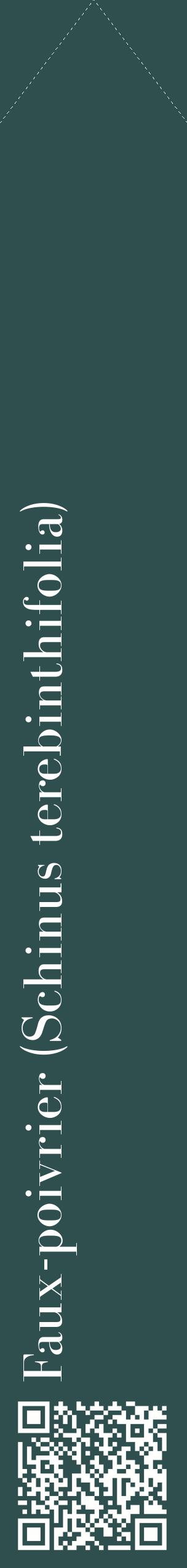 Étiquette de : Schinus terebinthifolia - format c - style blanche58_simplebod avec qrcode et comestibilité