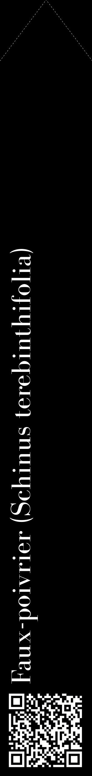 Étiquette de : Schinus terebinthifolia - format c - style blanche59_simplebod avec qrcode et comestibilité