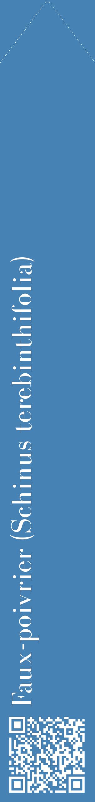 Étiquette de : Schinus terebinthifolia - format c - style blanche5_simplebod avec qrcode et comestibilité