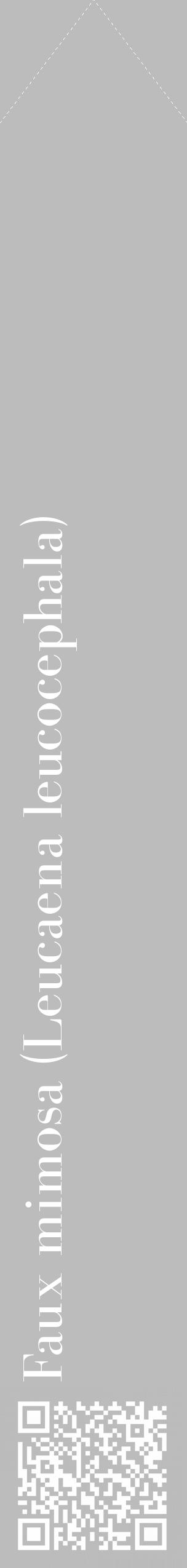 Étiquette de : Leucaena leucocephala - format c - style blanche1_simple_simplebod avec qrcode et comestibilité - position verticale