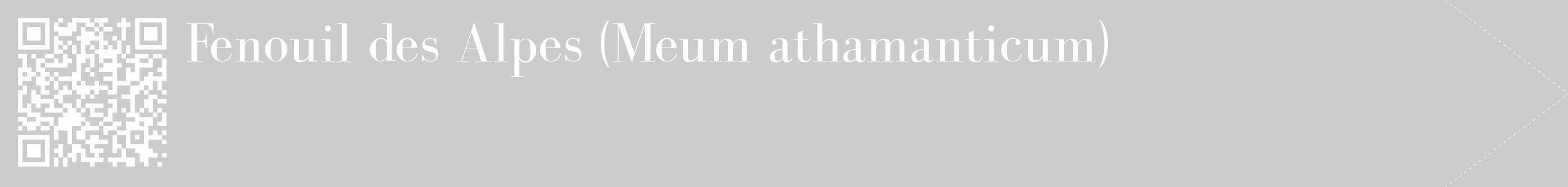 Étiquette de : Meum athamanticum - format c - style blanche0_simple_simplebod avec qrcode et comestibilité