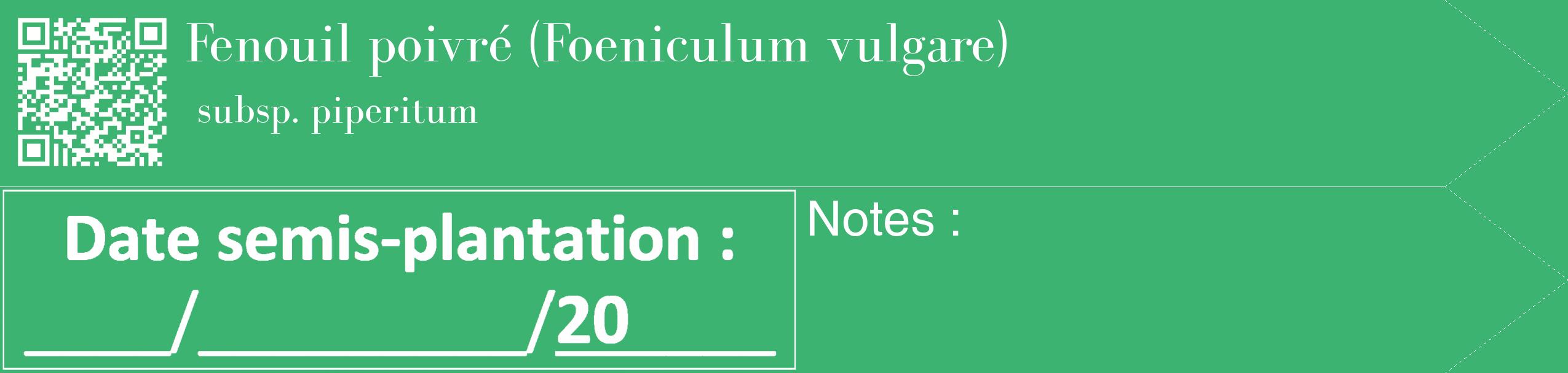 Étiquette de : Foeniculum vulgare subsp. piperitum - format c - style blanche12_simple_simplebod avec qrcode et comestibilité