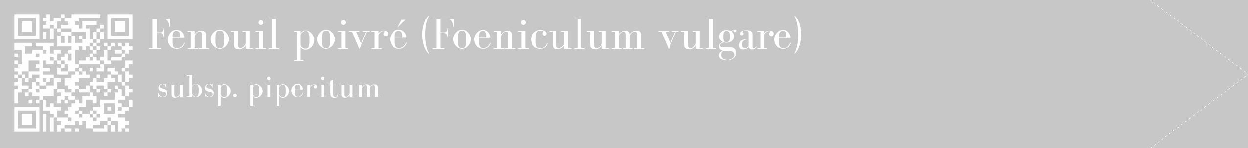 Étiquette de : Foeniculum vulgare subsp. piperitum - format c - style blanche15_simple_simplebod avec qrcode et comestibilité