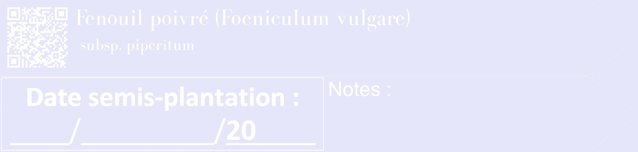 Étiquette de : Foeniculum vulgare subsp. piperitum - format c - style blanche55_simple_simplebod avec qrcode et comestibilité