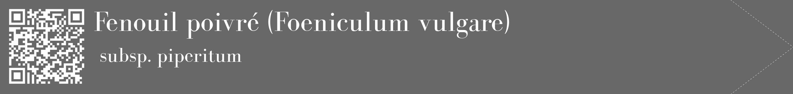 Étiquette de : Foeniculum vulgare subsp. piperitum - format c - style blanche6_simple_simplebod avec qrcode et comestibilité