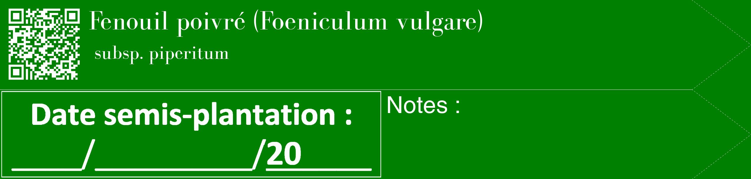 Étiquette de : Foeniculum vulgare subsp. piperitum - format c - style blanche9_simple_simplebod avec qrcode et comestibilité