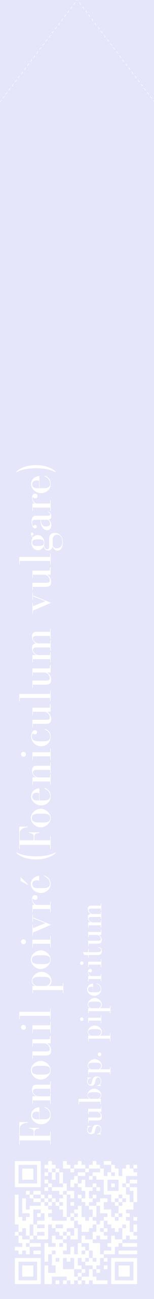 Étiquette de : Foeniculum vulgare subsp. piperitum - format c - style blanche55_simplebod avec qrcode et comestibilité
