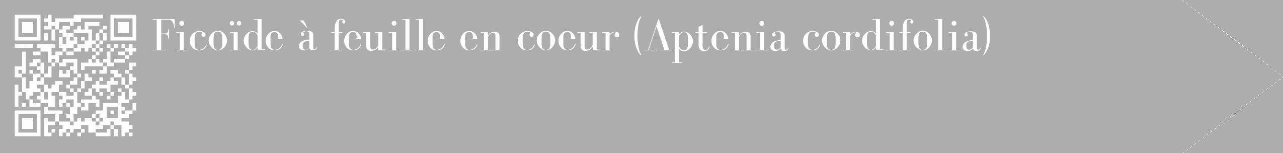 Étiquette de : Aptenia cordifolia - format c - style blanche22_simple_simplebod avec qrcode et comestibilité