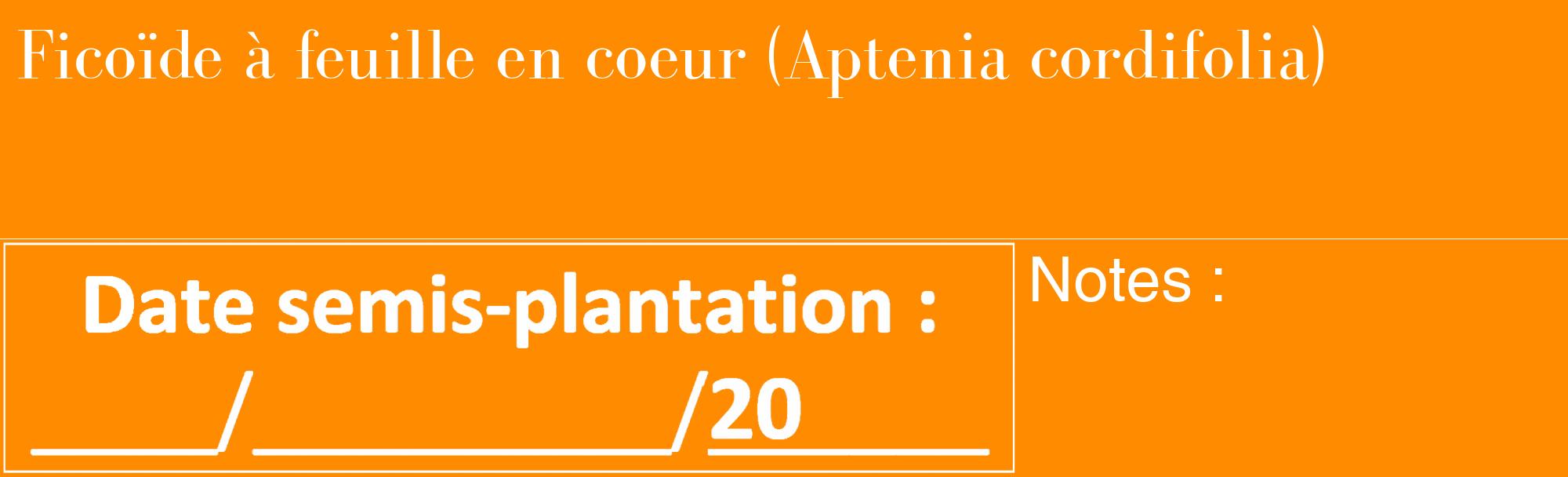 Étiquette de : Aptenia cordifolia - format c - style blanche23_basique_basiquebod avec comestibilité