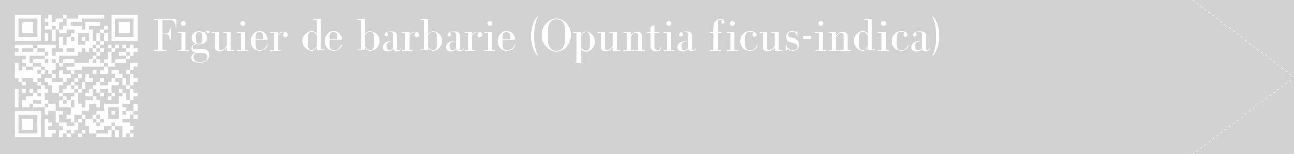Étiquette de : Opuntia ficus-indica - format c - style blanche14_simple_simplebod avec qrcode et comestibilité