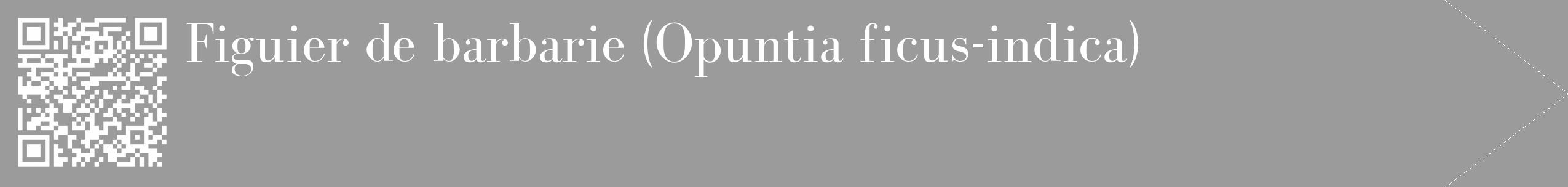 Étiquette de : Opuntia ficus-indica - format c - style blanche52_simple_simplebod avec qrcode et comestibilité