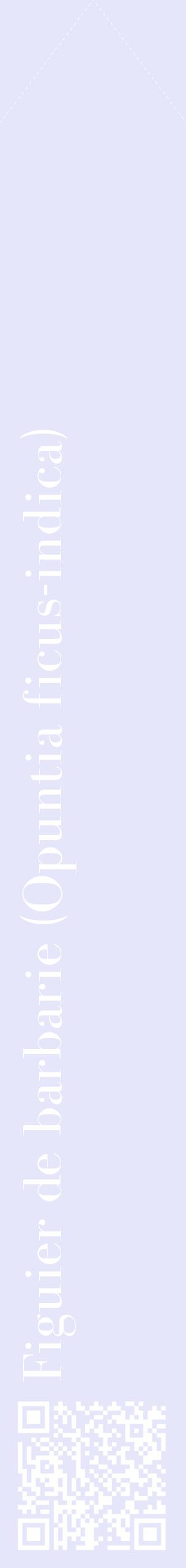 Étiquette de : Opuntia ficus-indica - format c - style blanche55_simplebod avec qrcode et comestibilité