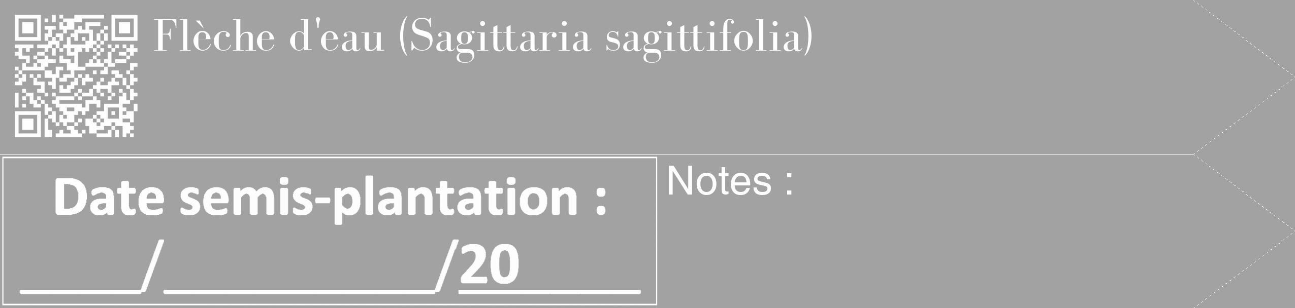 Étiquette de : Sagittaria sagittifolia - format c - style blanche38_simple_simplebod avec qrcode et comestibilité