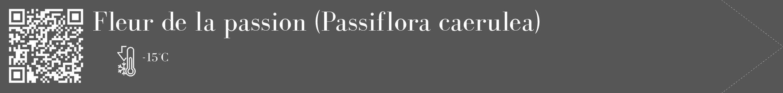 Étiquette de : Passiflora caerulea - format c - style blanche45_simple_simplebod avec qrcode et comestibilité