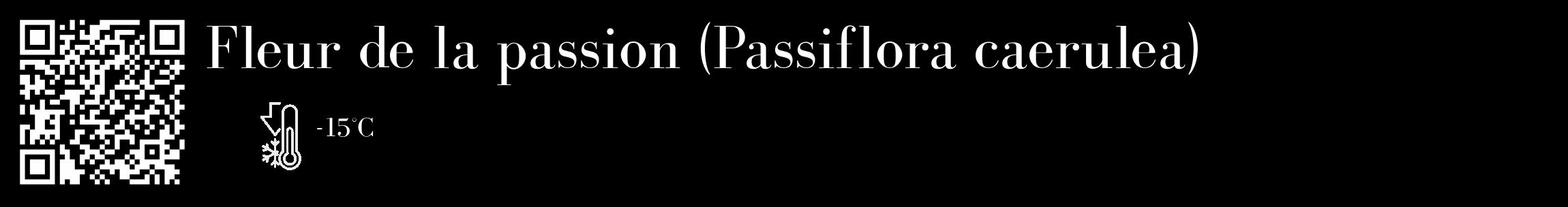 Étiquette de : Passiflora caerulea - format c - style blanche59_basique_basiquebod avec qrcode et comestibilité