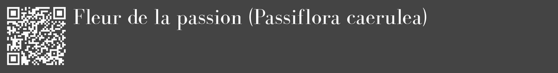 Étiquette de : Passiflora caerulea - format c - style blanche48_basique_basiquebod avec qrcode et comestibilité