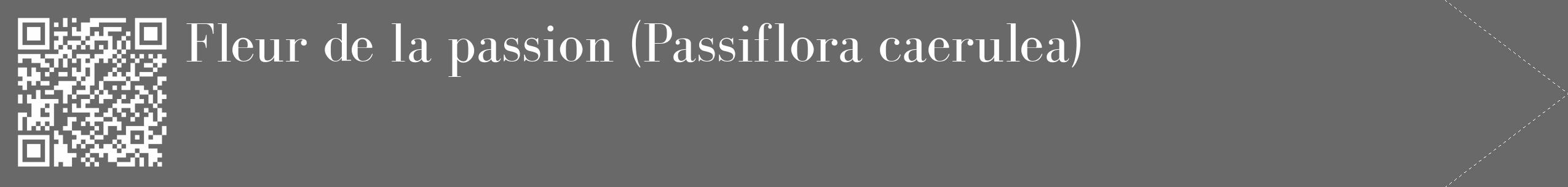 Étiquette de : Passiflora caerulea - format c - style blanche51_simple_simplebod avec qrcode et comestibilité