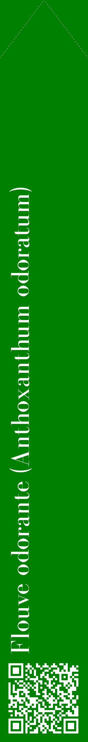 Étiquette de : Anthoxanthum odoratum - format c - style blanche9_simplebod avec qrcode et comestibilité