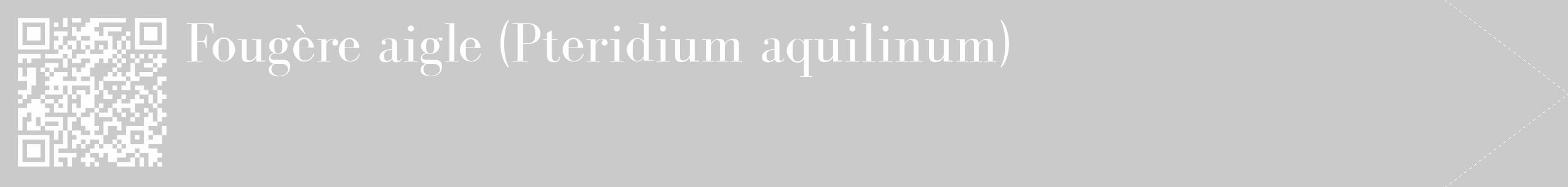 Étiquette de : Pteridium aquilinum - format c - style blanche21_simple_simplebod avec qrcode et comestibilité