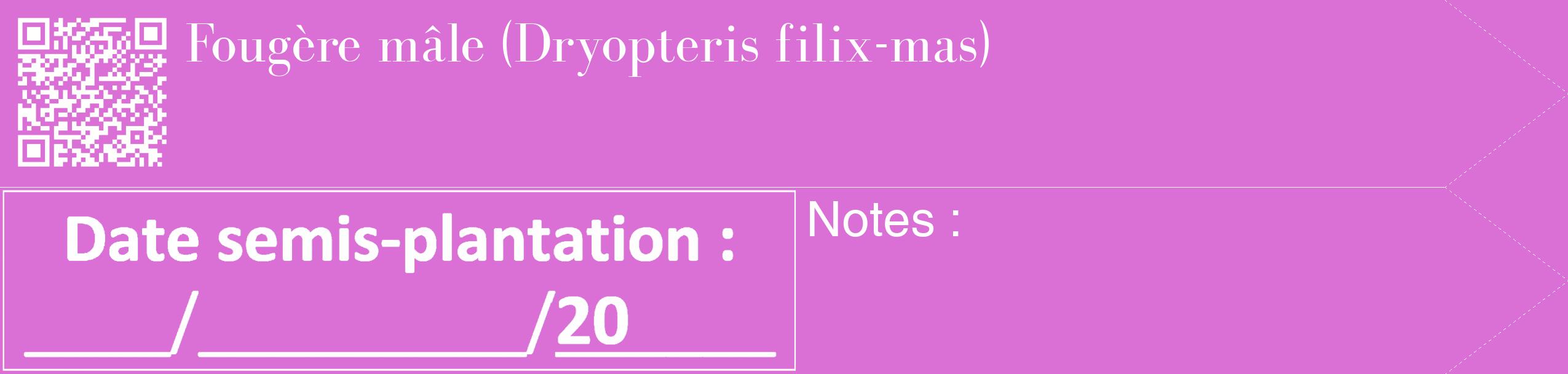 Étiquette de : Dryopteris filix-mas - format c - style blanche52_simple_simplebod avec qrcode et comestibilité
