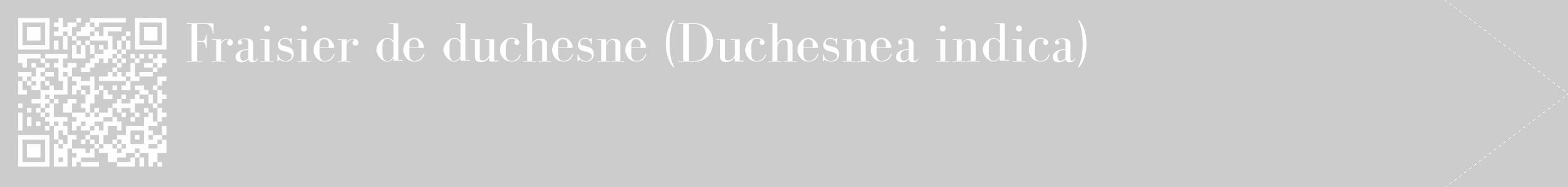 Étiquette de : Duchesnea indica - format c - style blanche0_simple_simplebod avec qrcode et comestibilité